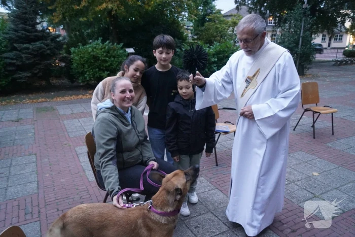 Huisdieren krijgen zegening op Dierendag
