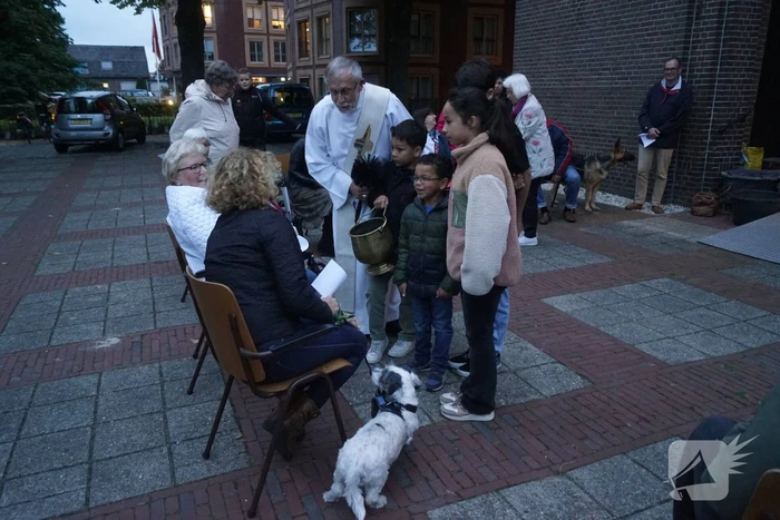 Huisdieren krijgen zegening op Dierendag