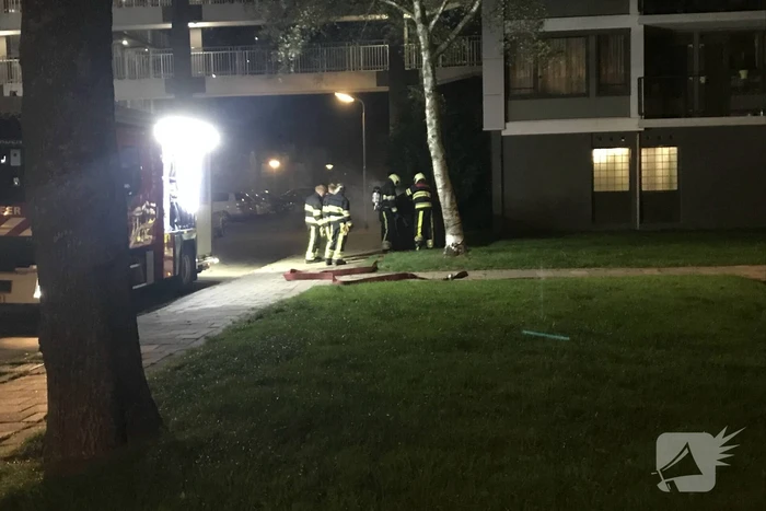 Papiercontainer in brand