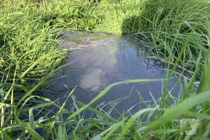Waterlekkage door kapotte waterleiding