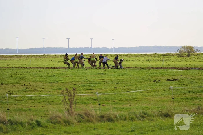 Paard uit sloot gered