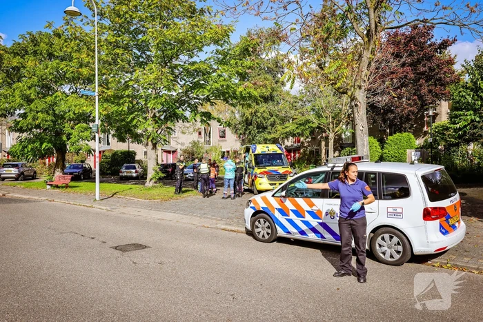 Persoon onwel tijdens snoeien van heg