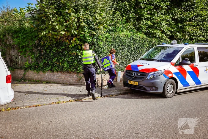 Persoon onwel tijdens snoeien van heg