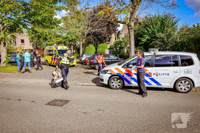 Persoon onwel tijdens snoeien van heg