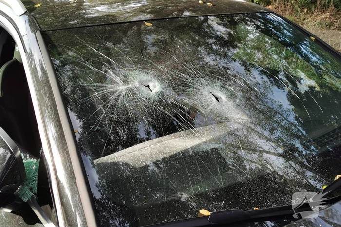Twee auto's vernield, politie doet onderzoek