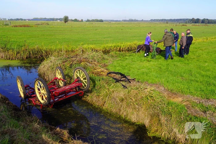 Paard met menwagen belanden in sloot