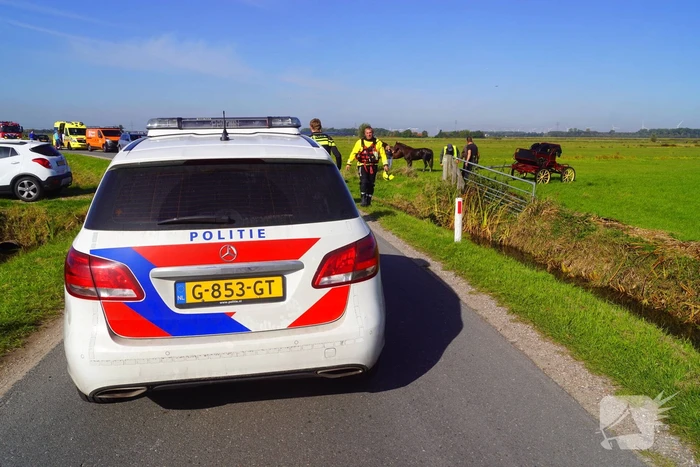 Paard met menwagen belanden in sloot