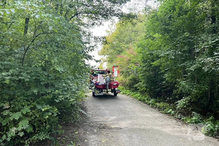 Hond en persoon uit water gered door brandweer