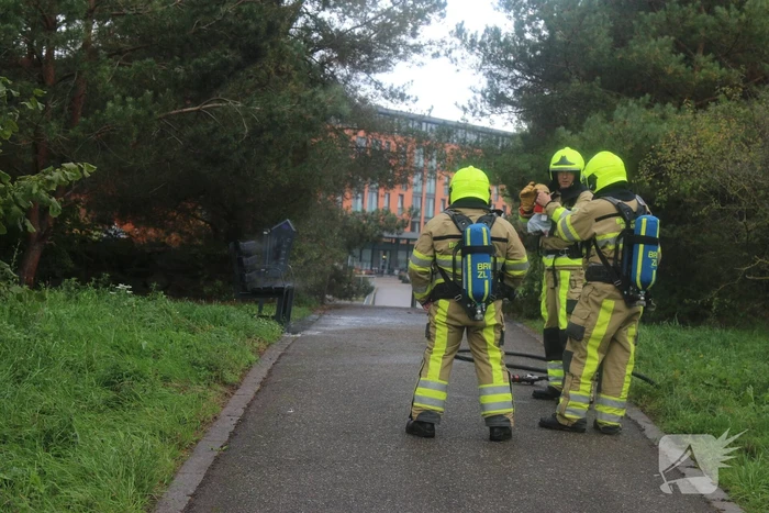 Houten bank afgebrand in park