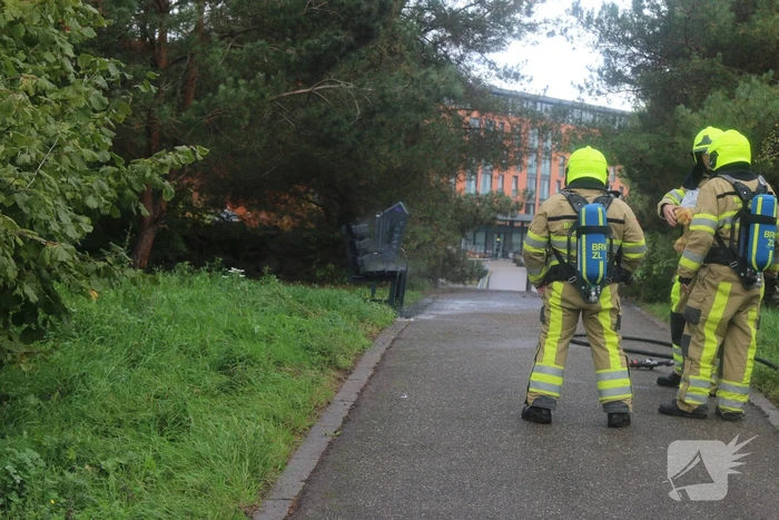 Houten bank afgebrand in park