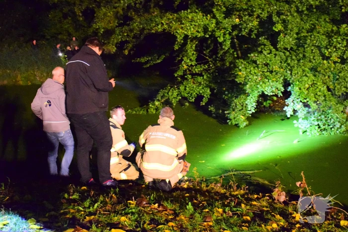 Vermiste hond van eiland gehaald door brandweer