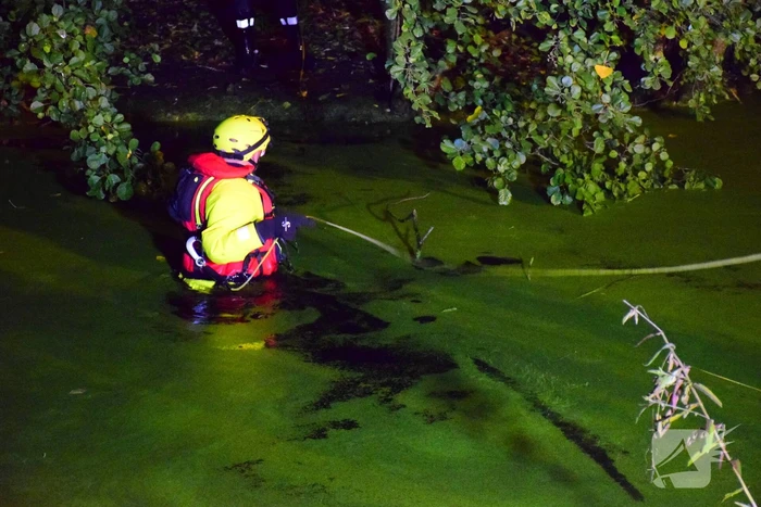 Vermiste hond van eiland gehaald door brandweer