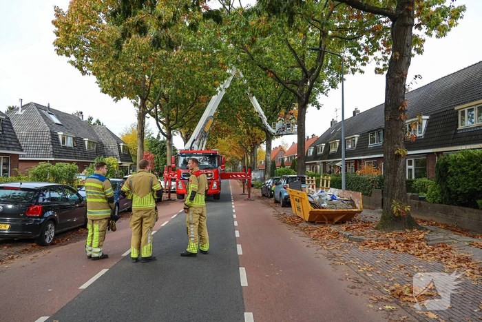 natuur haardstedelaan huizen