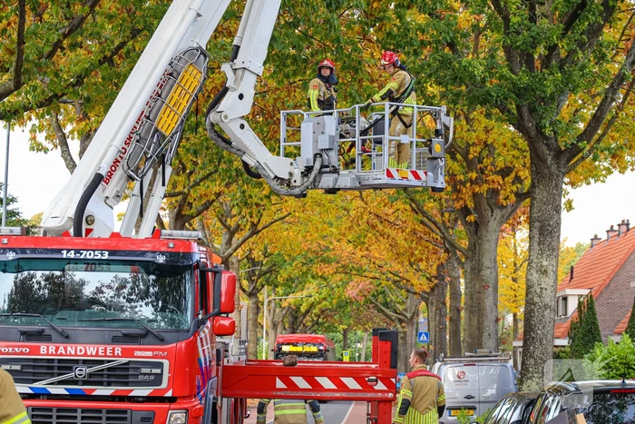 Weg afgesloten door gevaarlijk loshangende tak
