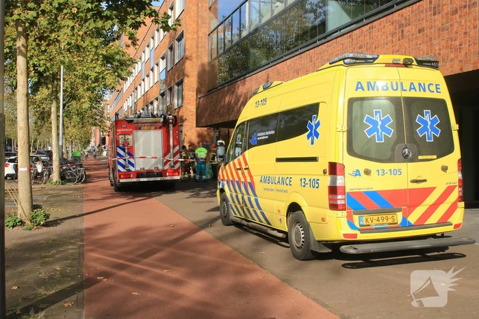 Aantal dieren overleden in dierenkliniek IJburg