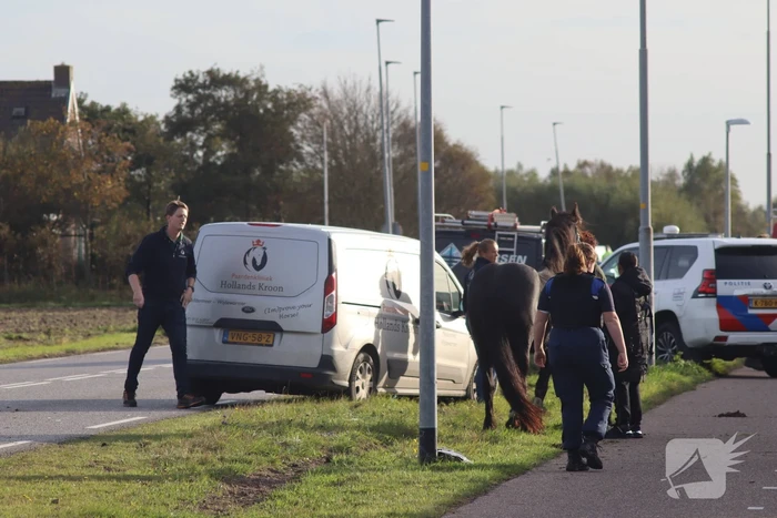 Zeer ernstig ongeval met paarden