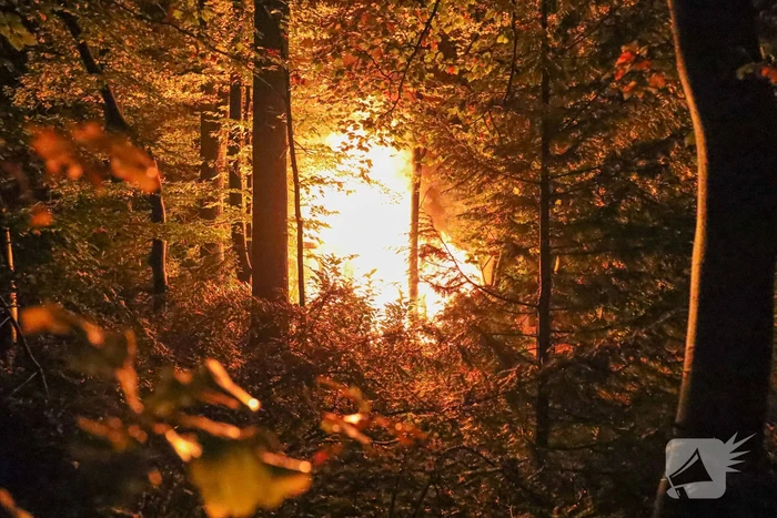 Caravan in achtertuin verwoest vanwege brand