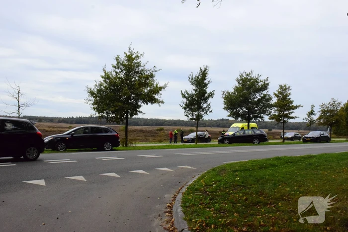 Twee personenauto's beschadigd bij ongeval