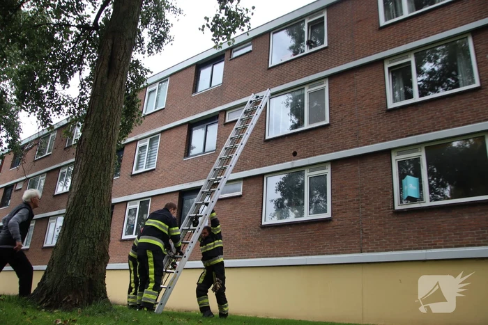 Kat bekneld tussen klapraam van woning