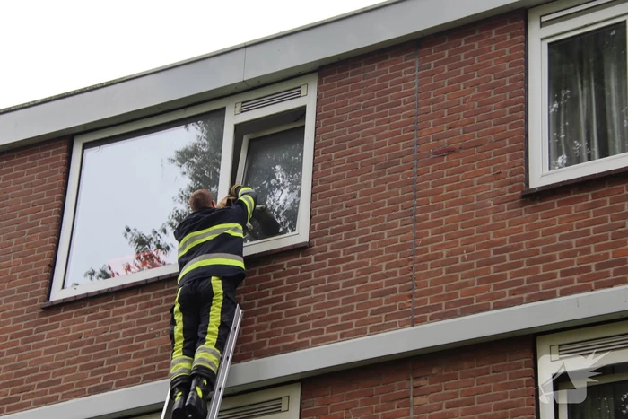 Kat bekneld tussen klapraam van woning