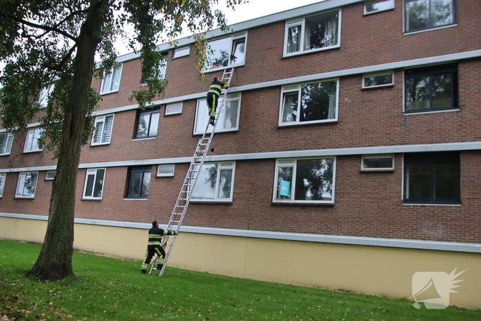 Kat bekneld tussen klapraam van woning