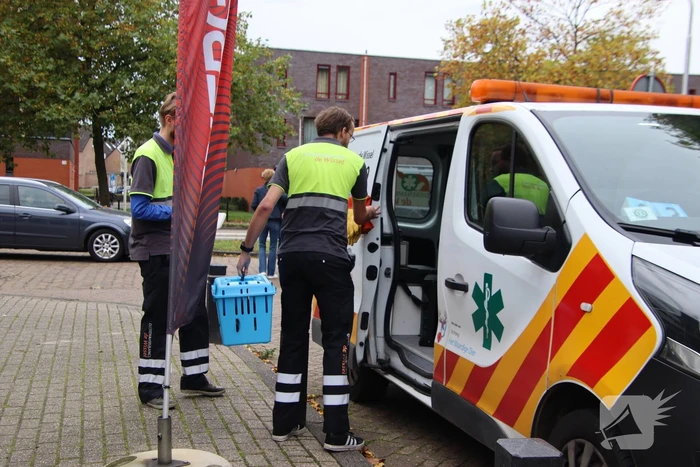 Kat bekneld tussen klapraam van woning
