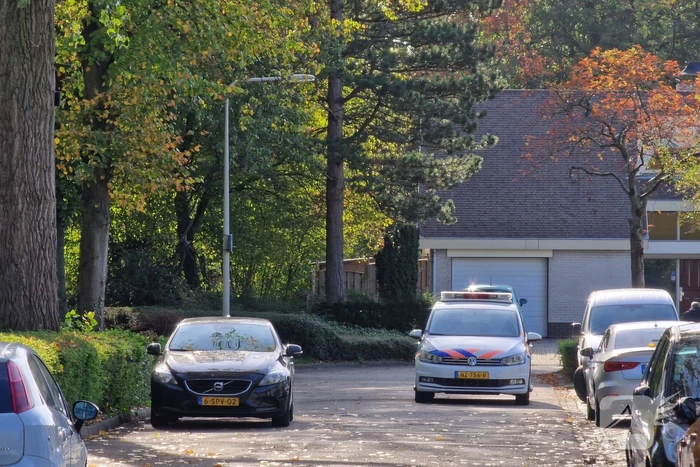 nieuws heiningen bergen op zoom