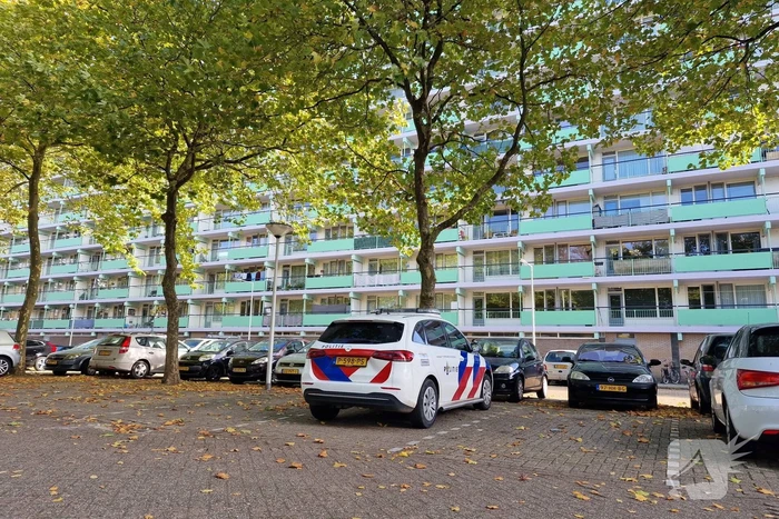 Arrestatieteam en agenten ingezet, man en vrouw aangehouden