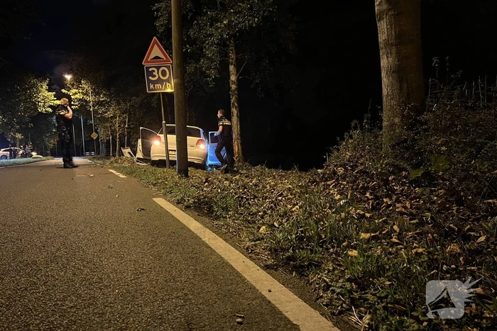 Automobilist vliegt uit de bocht en knalt tegen boom