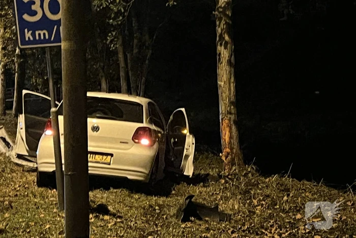 Automobilist vliegt uit de bocht en knalt tegen boom