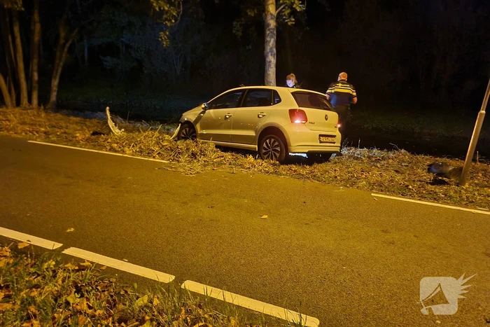 Automobilist vliegt uit de bocht en knalt tegen boom