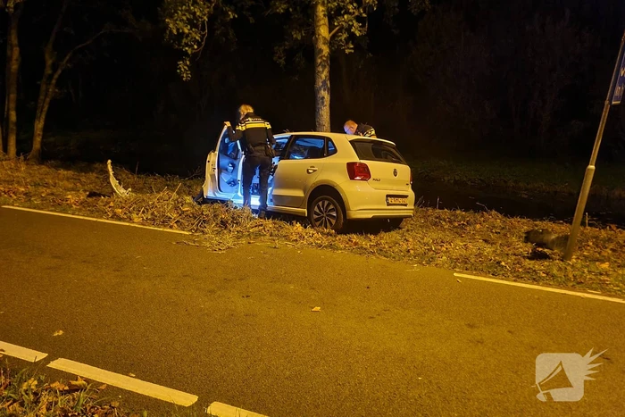 Automobilist vliegt uit de bocht en knalt tegen boom