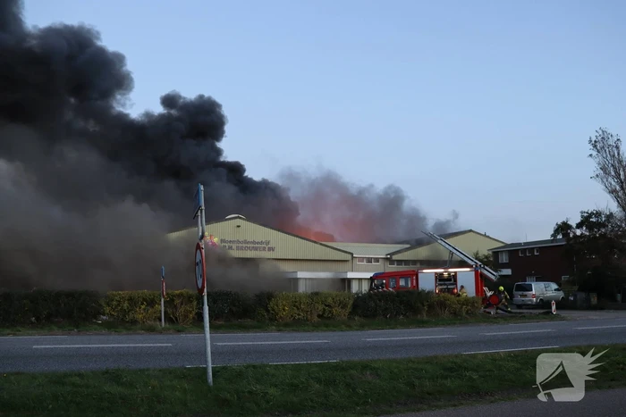 Enorme uitslaande brand bij bloembollenbedrijf