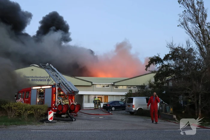Enorme uitslaande brand bij bloembollenbedrijf