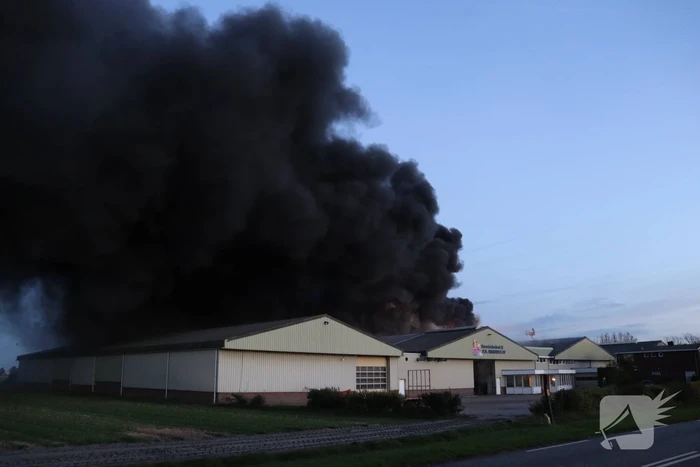 Enorme uitslaande brand bij bloembollenbedrijf