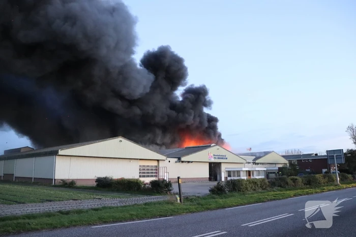 Enorme uitslaande brand bij bloembollenbedrijf