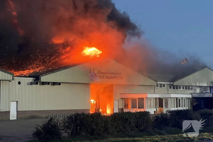 Enorme uitslaande brand bij bloembollenbedrijf