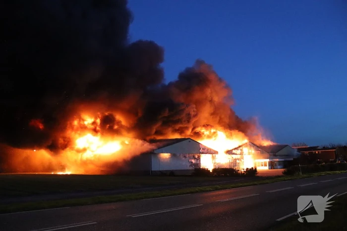 Enorme uitslaande brand bij bloembollenbedrijf