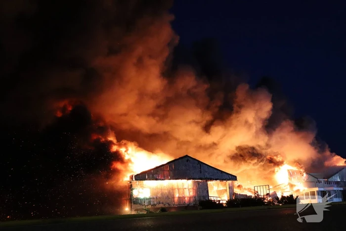 Enorme uitslaande brand bij bloembollenbedrijf
