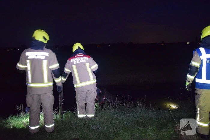 Brandweer redt paard uit een sloot