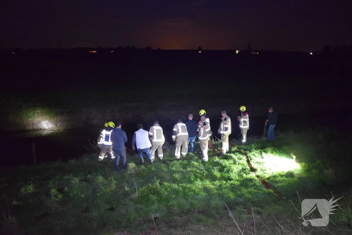Brandweer redt paard uit een sloot