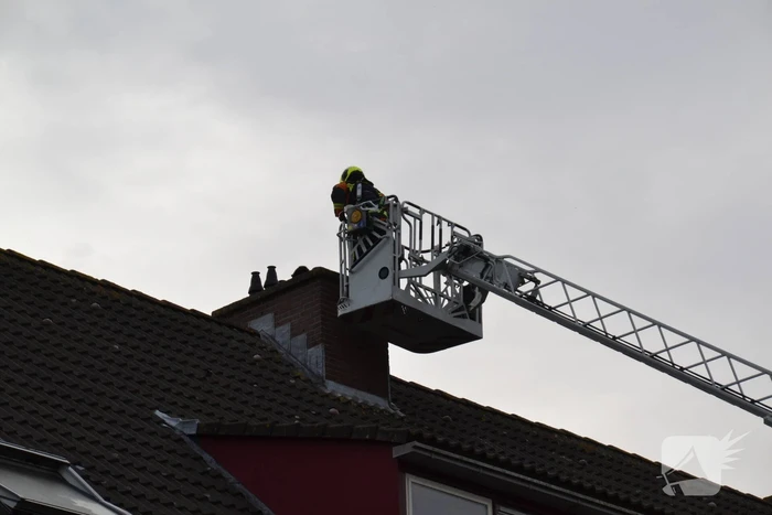 Kat van schoorsteen gehaald door brandweer