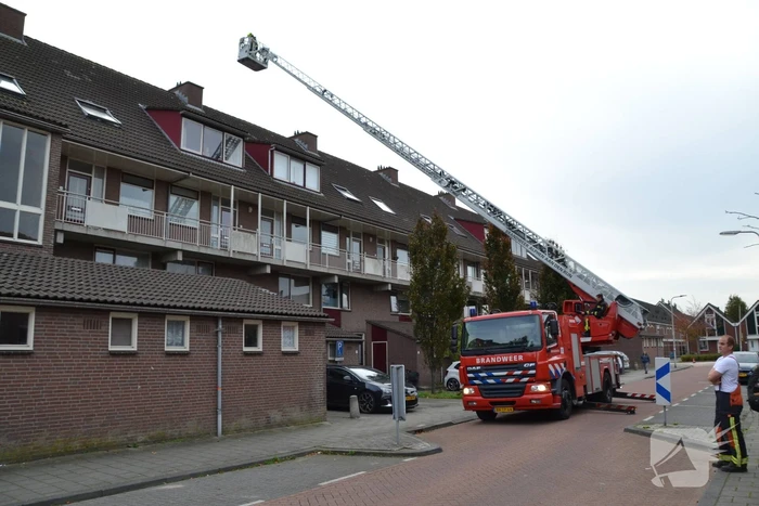Kat van schoorsteen gehaald door brandweer
