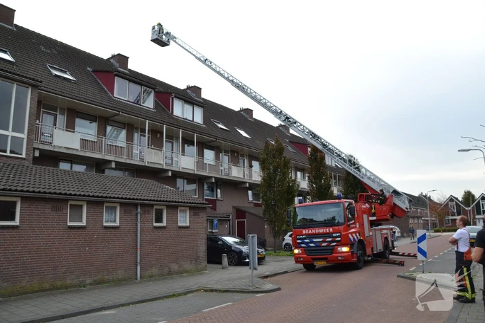 Kat van schoorsteen gehaald door brandweer