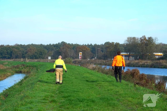 Reddingsactie voor gans in de problemen