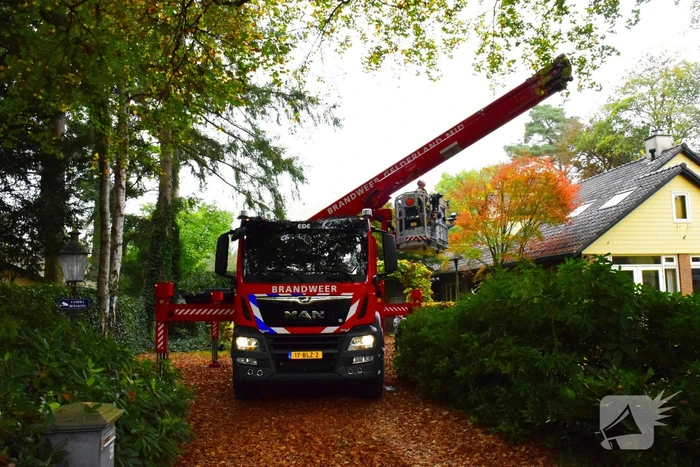 Eigenwijze kat Sam klimt opnieuw de boom in