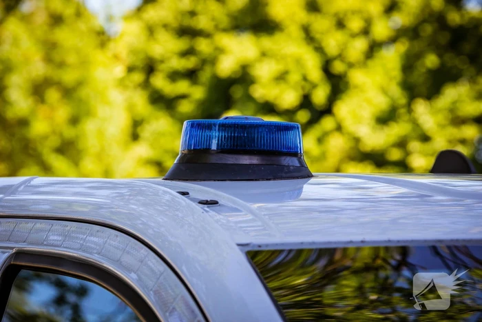 steekincident haringvliet rotterdam