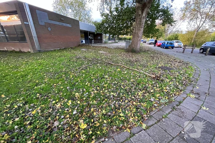Gevaarlijk hangende tak verwijderd door brandweer