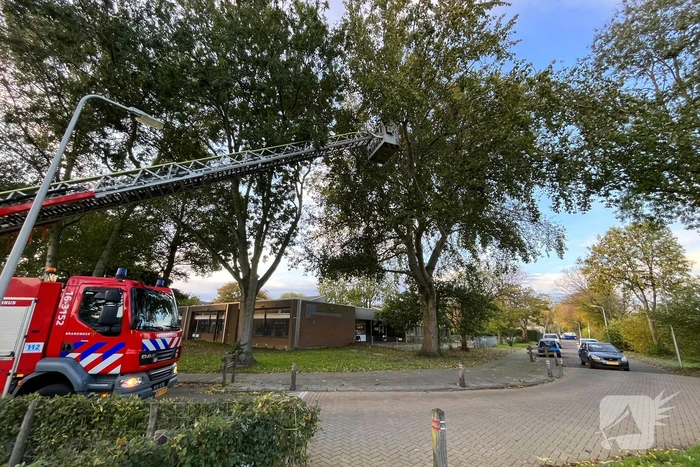 Gevaarlijk hangende tak verwijderd door brandweer