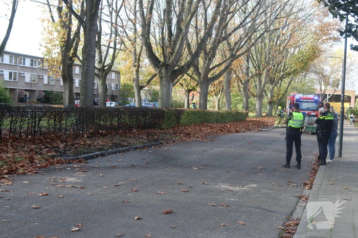 Meters struiken afgebrand door brandstichting